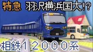 【特急 羽沢横浜国大行!?】相鉄12000系のプラレールを紹介