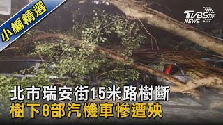 北市瑞安街15米路樹斷 樹下8部汽機車慘遭殃｜TVBS新聞