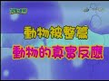 1980年代令人懷念的食品廣告 20080225完全娛樂