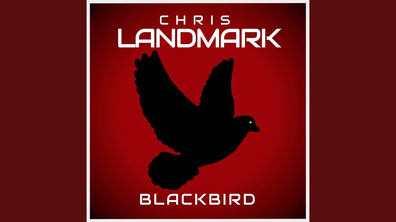 Blackbird - YouTube Music