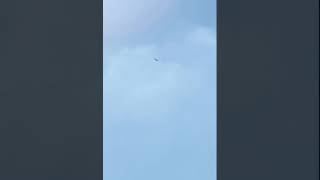 何？鳥の形をした擬態型UFO🛸？雲の中飛んでるよ？