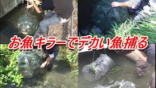 総集編ラスト　お魚キラーで大物Get♪　の巻