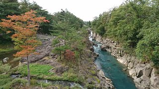 【Travel】Japan, Tohoku, Senda, IwateYan, Meixi, Chuson Temple. Who stole my heart in autumn?