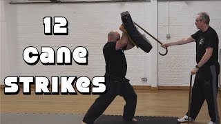 12 Cane Strikes: Cane and wheelchair Walking cane self defense: