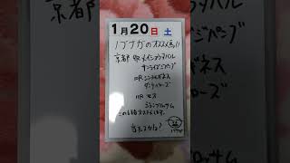 サイコロ馬券士信長のオススメ馬紹介します。「1月20日土曜日京都競馬場」