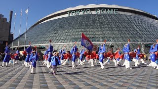 妃龍 @ ふるさと祭り東京 (メインゲート前広場) 2020-01-13T12:23