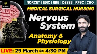 Nervous System - Anatomy & Physiology | For NORCET | ESIC | RRB | DSSSB | RPSC | CHO Exams |Raju Sir