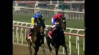 プレザントリーパーフェクト（Pleasantly Perfect）　ドバイワールドカップ（Dubai World Cup） 2004年　海外競馬G1