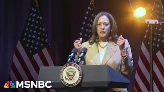 DNC Chair celebrates record support for Harris: 'We're getting in formation'