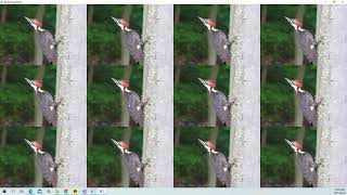 VTK Example - ResizeImageDemo - Cxx