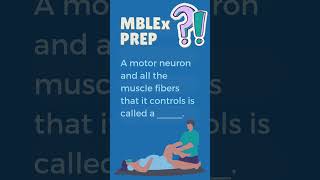 MBLEx Prep Question 297 - #mblexprep #massagetherapy #studytips #muscularsystem