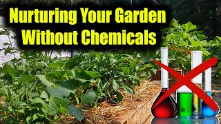 Embracing Organic Gardening: Nurturing Your Garden without Chemicals