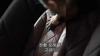 차 안에 이거 하나면 끝 #Shorts