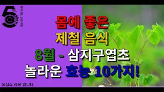 몸에 좋은 제철 음식 8월 - 삼지구엽초 놀라운 효능 10가지!