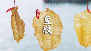 [潮汕美食] 鱼胶 ( Teochew Food อาหารแต้จิ๋ว )