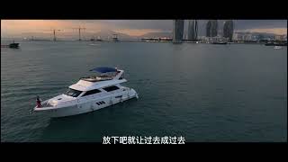 歌曲. (   或许是我太傻.)