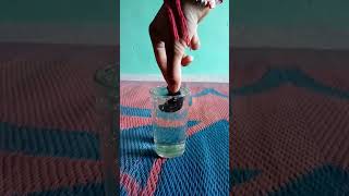 water vs magnet New science experiments 🇮🇳🇮🇳 # shorts