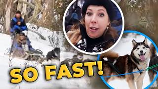 Racing Through Snow With Huskies at Mount Hotham