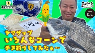 【fishing vibes】ヤマザップ　コーン縛りでチヌ釣りしてみたin浜辺屋