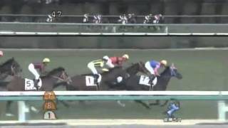 2013年 3歳新馬 / マトリックスコード