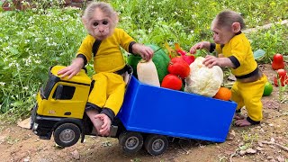 Smart Bu Bu helps dad take care of the fruit farm