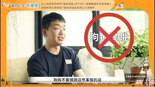 主人一回家狗狗過度熱情「見人就撲」怎麼辦？2心法穩定毛小孩情緒 #毛學堂 #寵物知識 #狗狗 #犬研室