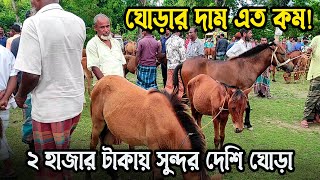 ঘোড়ার দাম এত কম! ২ হাজার টাকায় সুন্দর দেশি ঘোড়া - তুলসিপুর ঘোড়ার হাট, জামালপুর