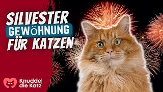 ✨FEUERWERK DESENSIBILISIERUNG für Katzen an Silvester 🐈 1 Stunde Raketen 🎆 \u0026 Böller 🧨