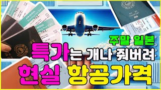 ✈️주말 여행자의 현실 항공권 가격 공유! 특가는 개나 줘버려👊 비싼여행 배틀신청 받음!!