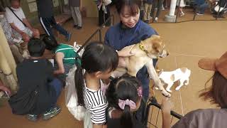 見てみMyたかまつ　動物愛護フェスタ