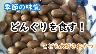 どんぐりを食べる―季節の味覚、こどもが大好きおやつ