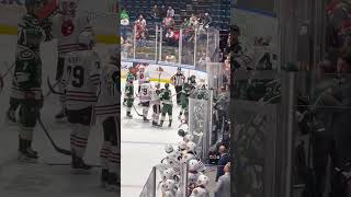 Rockford IceHogs vs Iowa Wild Fight on December 15, 2023  #hockey #ahl #hockeyfight