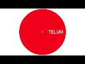 unknown artist untitled a1 telum007