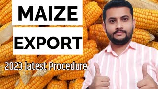 How to Export Maize || Maize export business || Maize Export to Bangladesh || Maize Export || Corn