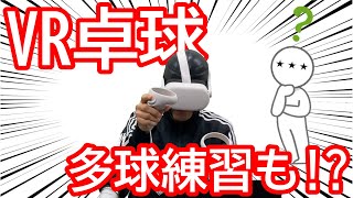 【VR 卓球】卓球経験者がVR卓球してみた【Eleven Table Tennis VR】