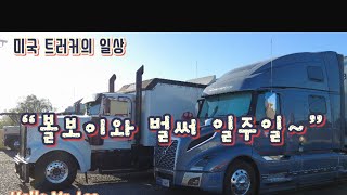 [미국 일상 Vlog]샌디에고 트립! Day 2. “일주일이면 충분해~ 이젠 서로 익숙해졌습니다!”