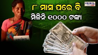 ୮ ମାସ ପରେ ବି ମିଳିନି ହଜାରେ ଟଙ୍କା | Odia News Live Updates | Latest Odia News | Samayalive