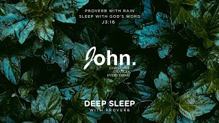 Sleep with God's Word - Proverb with Rain for Deep Sleep Read By David Suchet | The Book of Proverb