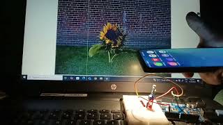 Blooming Sun Flower with Arduino and Block Coding