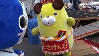 カツオにゃんこ ご当地キャラまつりin須崎