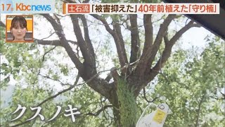 記録的大雨による土石流　命守った「クスノキ」とは