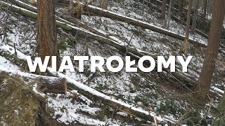 Wiatrołomy - Kozia Góra