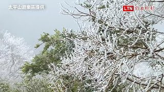 冷氣團發威宜蘭太平山零下1度  霧淞、雲海、日出相映成畫(太平山遊樂區提供)