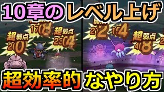 【ドラクエウォーク】10章で効率の良いレベル上げのやり方！自宅狩りと外狩りそれぞれ紹介！