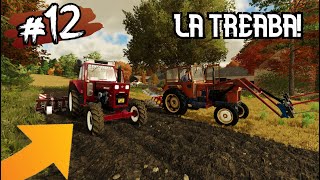 👨‍🌾LA TREABĂ CU ANDREI!🚜- C.A.P, Ep.12