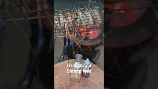 หัวเชื้อตกกุ้ง Shrimp feed