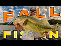 4 Techniques That Always Catch Bass In Fall!