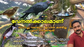 ഈ വേനൽക്കാലത്ത് നമ്മളെപ്പോലെ ദാഹം എല്ലാ ജീവജാലങ്ങൾക്കും ഉണ്ട്. അതു മാറാൻ ഇങ്ങനെ ചെയ്താൽ മതി🙏🙏🙏🙏🙏🙏🙏🙏🙏