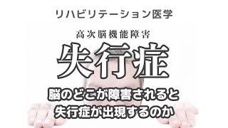 【医学】失行症の病巣について解説（高次脳機能障害）