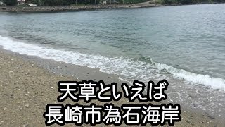 天草は長崎の為石にあります。